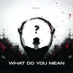 What Do You Mean? (Techno Version)