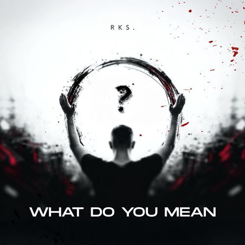 What Do You Mean?
