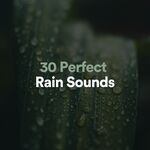 Raining Zealous