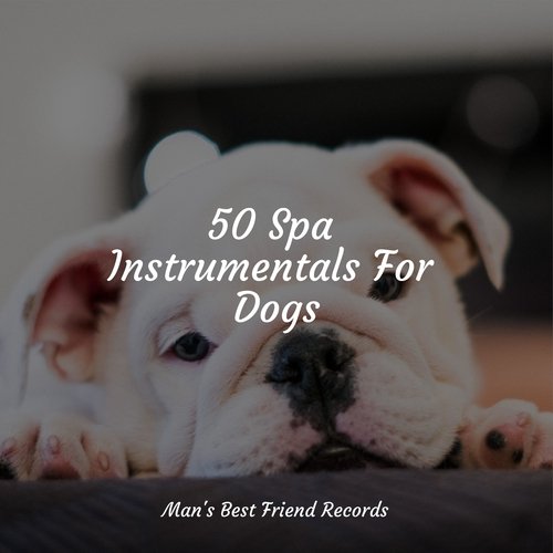 50 Spa Instrumentals For Dogs