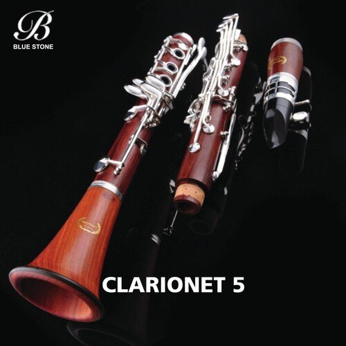 Clarionet 5