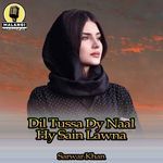 Dil Tussa Dy Naal Hy Sain Lawna