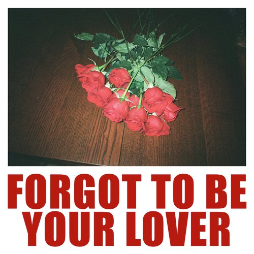 Forgot To Be Your Lover_poster_image