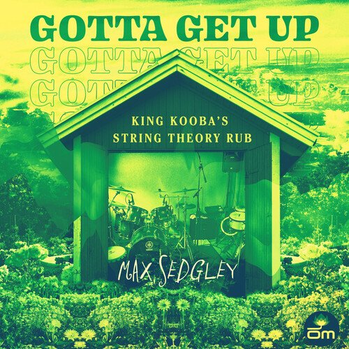 Gotta Get Up (King Kooba&#039;s String Theory Rub)_poster_image