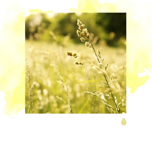 Musique Douce pour Relaxer ton Om de la Terre