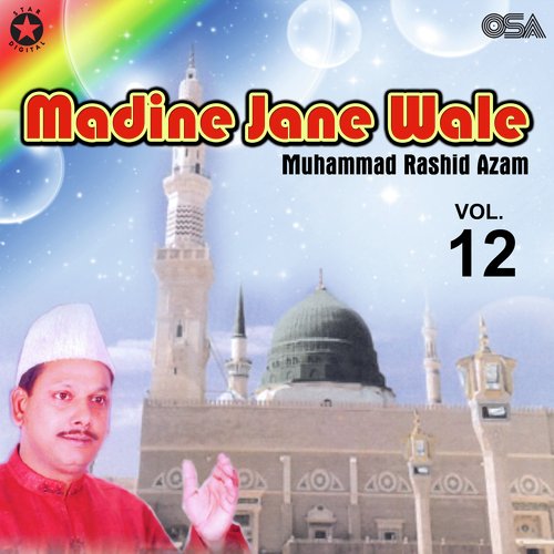 Madine Jane Wale, Vol. 12_poster_image