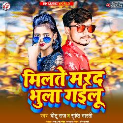 Milte Marad Bhula Gailu