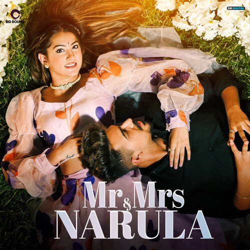 Mr And Mrs Narula (Original Series Soundtrack)