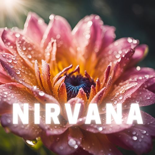 Nirvana_poster_image