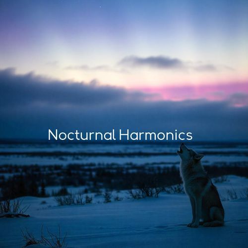 Nocturnal Harmonics: A Journey into Dream with Sleepy Piano_poster_image