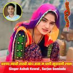 बहणा म्हारी राखी बांध हाता म घणी सुवावनी लाग