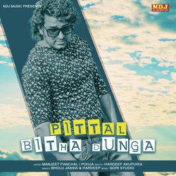 Pittal Bitha Dunga-HhEbUCB4aHA