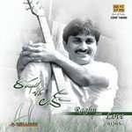 Vaaduka Marachedavela Pelli Kanuka Remix