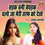 Sadak Bani Bedhadak Chalo Ja Meri Taraf Ko Dekhe