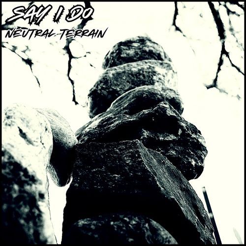 Say I Do cover art