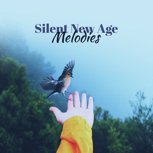 Silent New Age Melodies