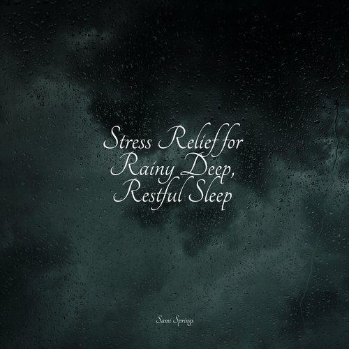 Rain, Storm and Thunder cover art