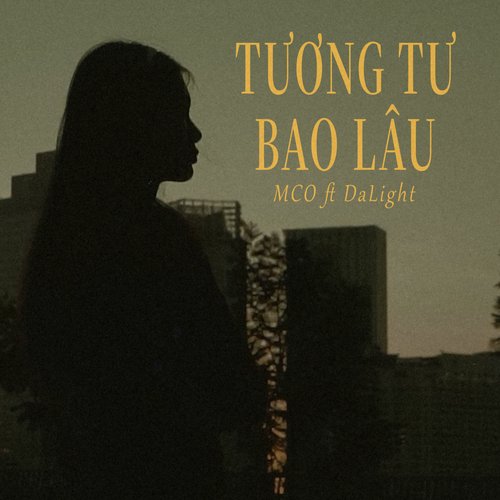 Tương Tư Bao Lâu