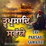 Tav Prasad Savaiye