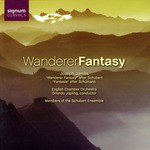 Wanderer Fantasy in C after Franz Schubert (D. 760): Allegro con fuoco ma non troppo