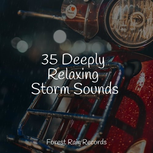 Rain, Storm and Thunder cover art