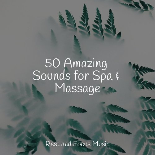 50 Amazing Sounds for Spa & Massage