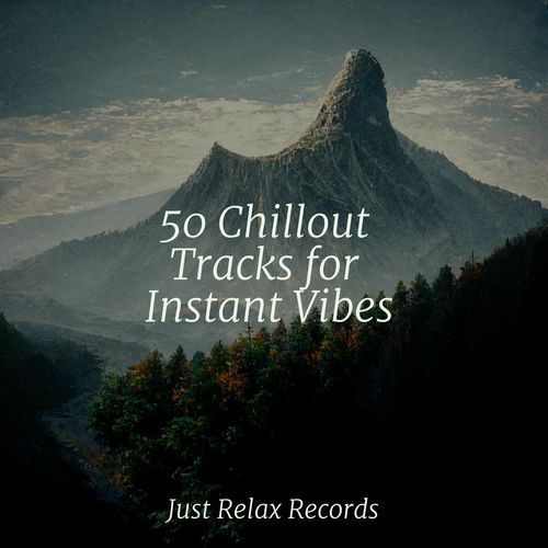 50 Chillout Tracks for Instant Vibes