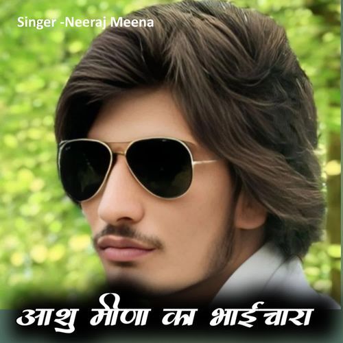 Ashu Meena Ka Bhaichara