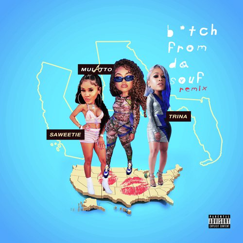 B*tch From Da Souf (Remix)_poster_image