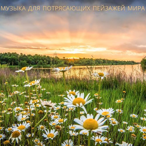 Спокойные звуки природы cover art
