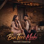 Bin Tere Mahi
