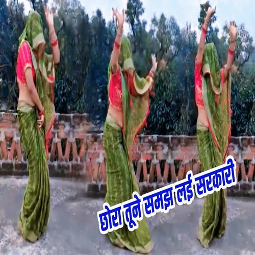 Chhora Tune Samajh Lai Sarkaari