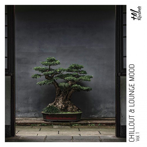 Canon cover art