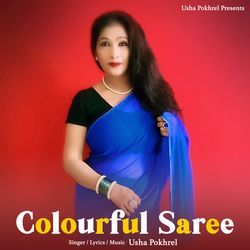 Colourful Saree-Nxg-ADFSfEA