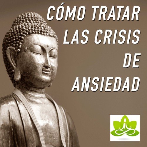 Como Tratar las Crisis de Ansiedad