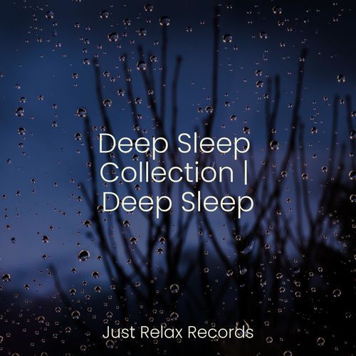 Deep Sleep Collection | Deep Sleep_poster_image