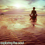 Exploring the Soul