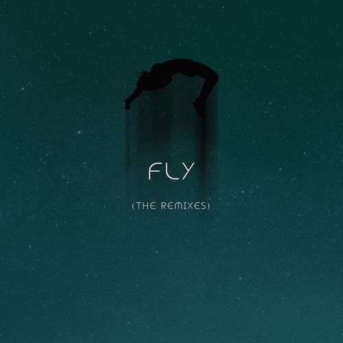 Fly (The Remixes)_poster_image