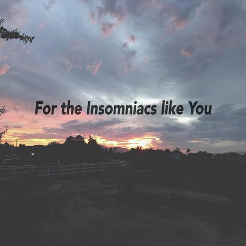 For the Insomniacs Like You (feat. K.O.) [2017]
