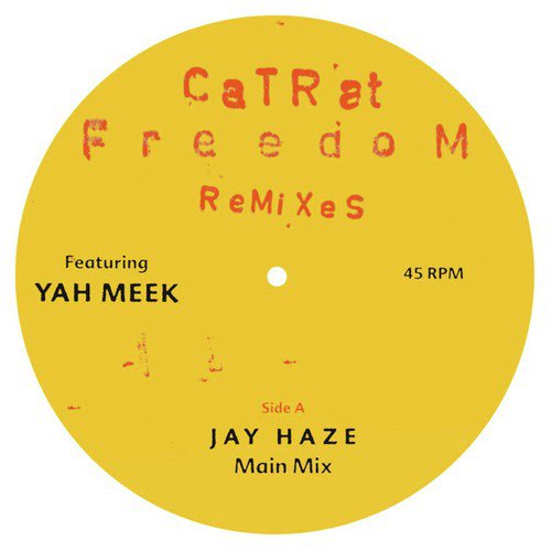 Freedom (Jay Haze Dub Remix) cover art