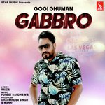 Gabbro