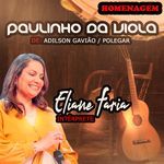 Homenagem: Paulinho Da Viola
