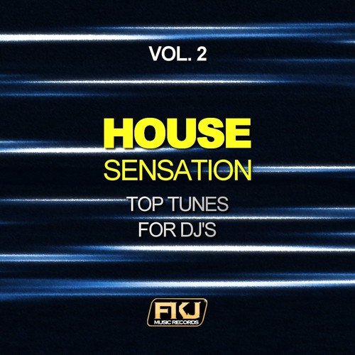 House Sensation, Vol. 2 (Top Tunes for DJ's)