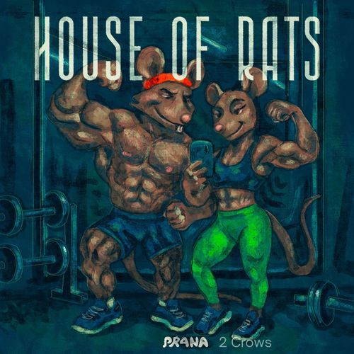 House of rats