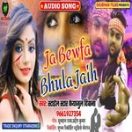 Ja Bewafa Bhula Jaih