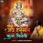 Jai Hanuman Karun Vinati