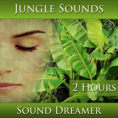 Jungle Sounds (2 Hours) cover art