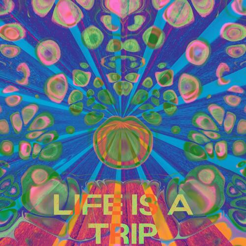 Life Is A Trip