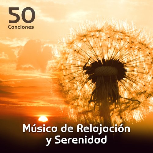 Espacio Emocional (Música de Yoga) cover art