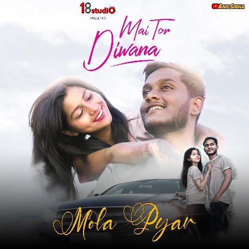 Mola Pyar (feat. Anil Sinha &amp; Jyotsana Tamrakar)_poster_image